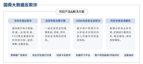 國舜股份 業務安全、安全開發與安全服務領域的卓越代表者，引領信息系統集成服務新篇章